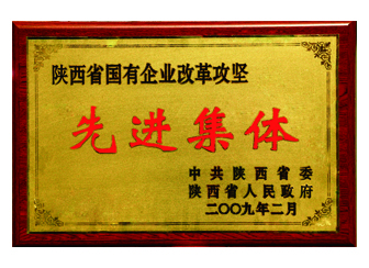2009年獲得“陜西省國有企業(yè)改革攻堅先進(jìn)集體”稱號